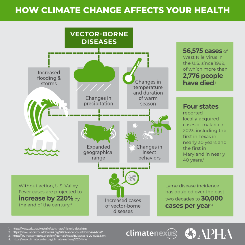 How Climate Affects Health Vector Borne Diseases