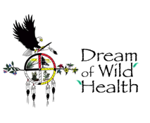 Eagle carrying Native American Dreamcatcher with text: Dream of Wild Health 