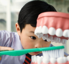Boy brushing a model of teeth