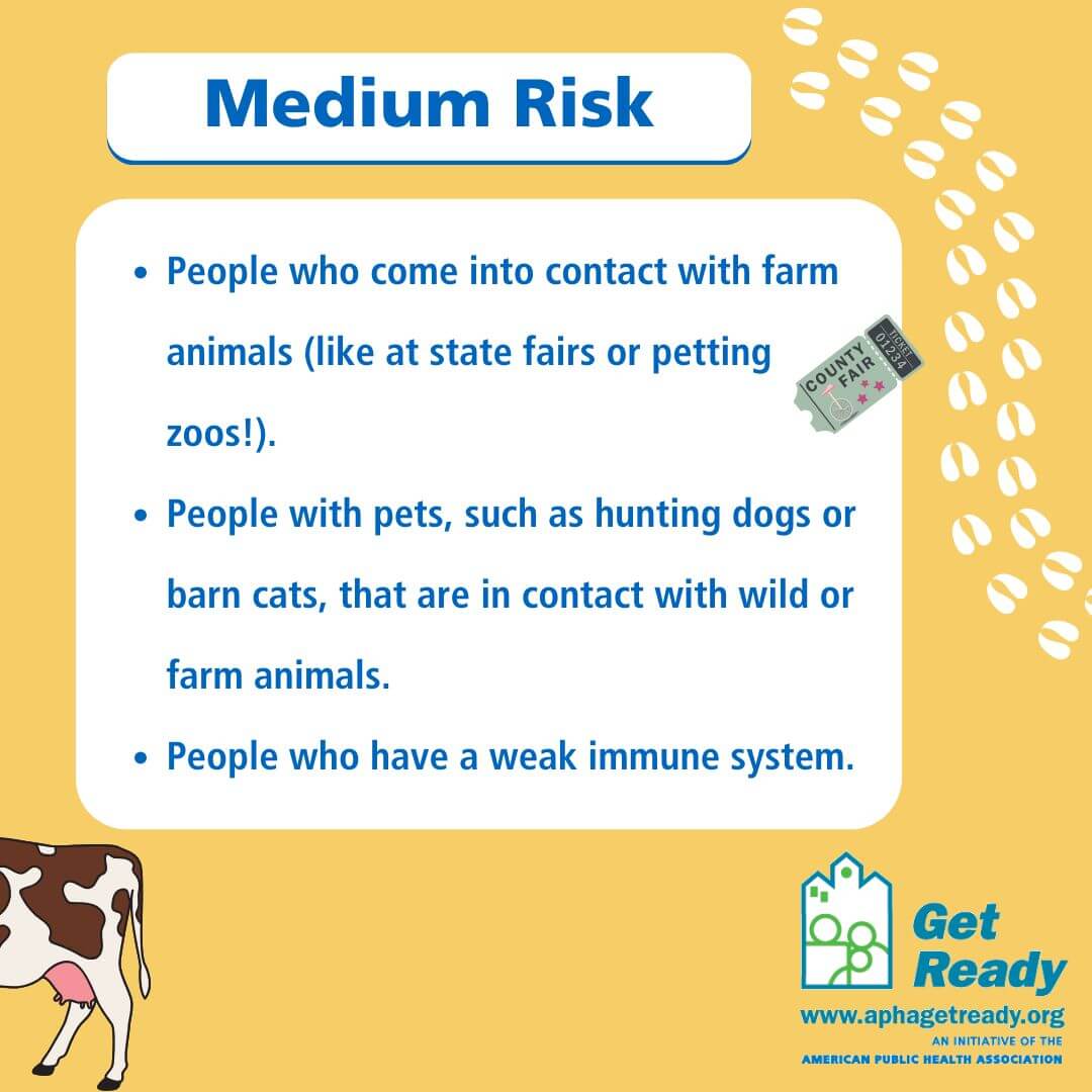 Bird Flu Risk Levels 3