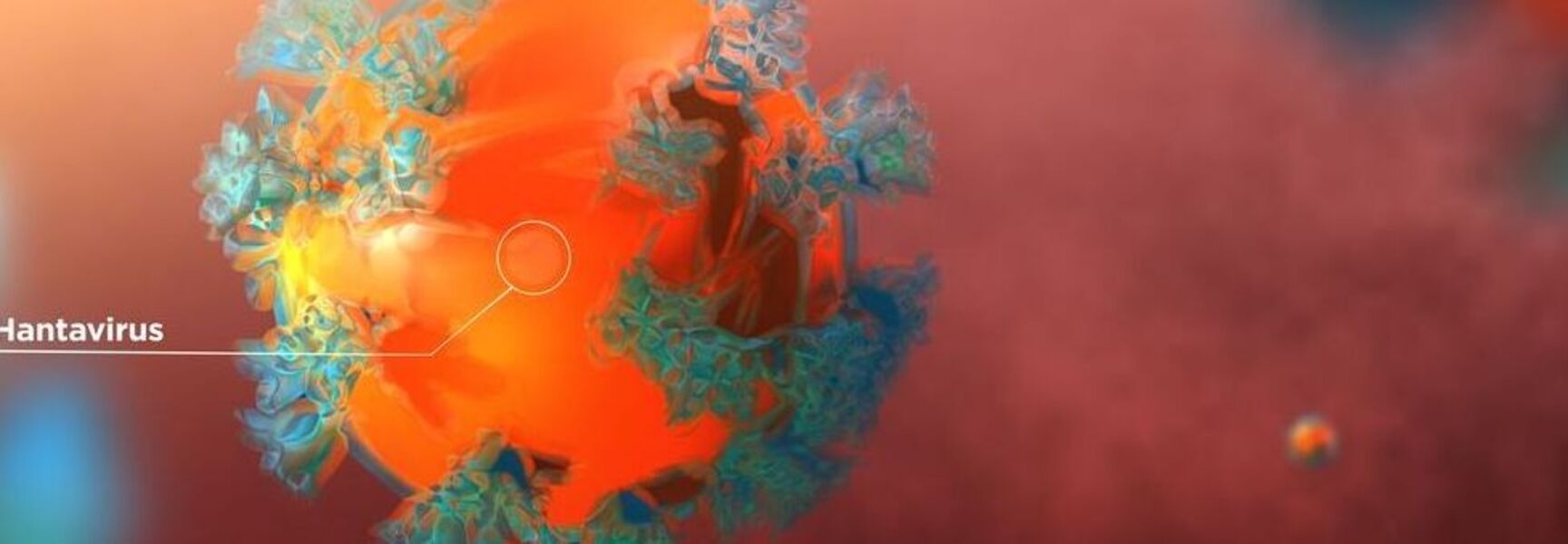 Hantavirus rendering