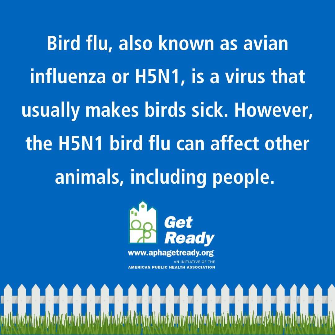 Bird Flu Risk Levels 1