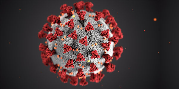 enlarged view of coronavirus