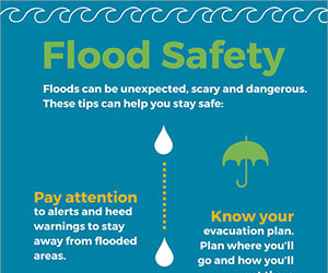 FloodInfographic_promo.jpg