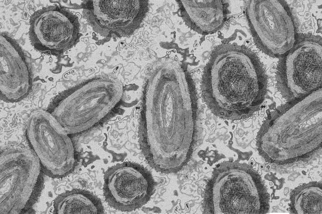 Disease under a microscope
