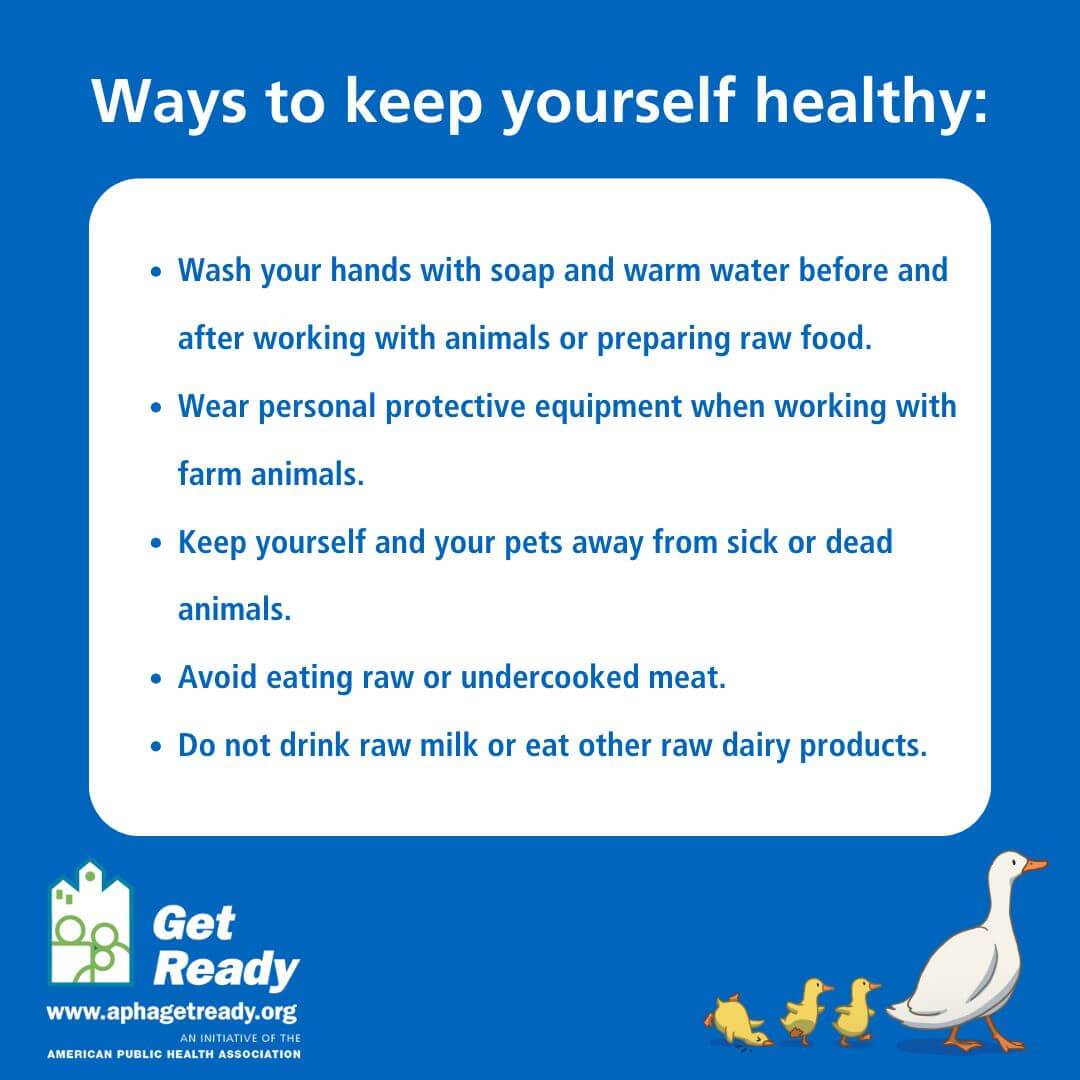 Bird Flu Risk Levels 5