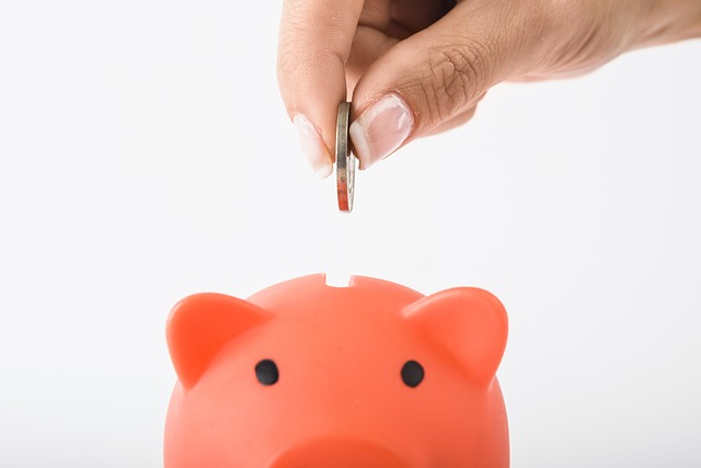 Piggie bank