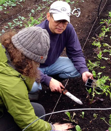 two people in a vegetable garden