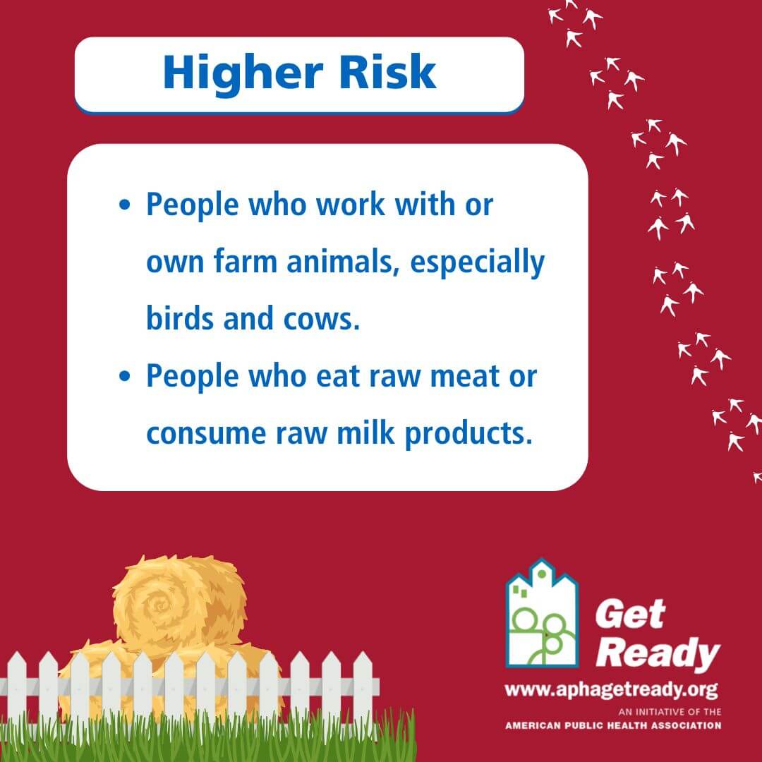 Bird Flu Risk Levels 2