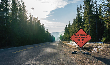 Cropped Prescribed Burn