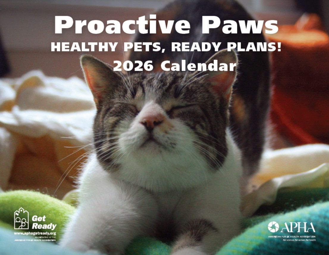 Cat on the cover of the 2026 get ready calendar