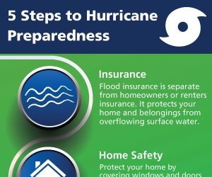 Hurricane_Infographic_promo.jpg