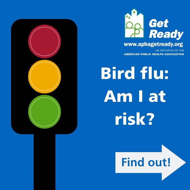 Bird Flu 1