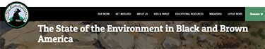 The State of the Environment in Black and Brown America