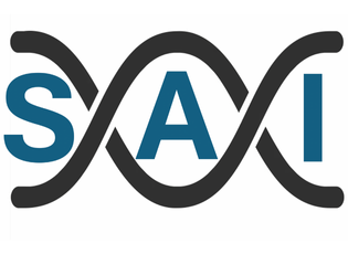 SAI helix logo