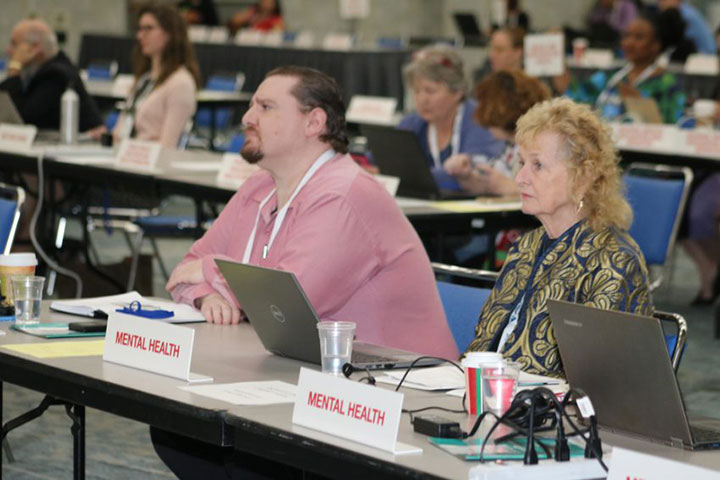 Governing Councilors for Mental Health Section seated at table