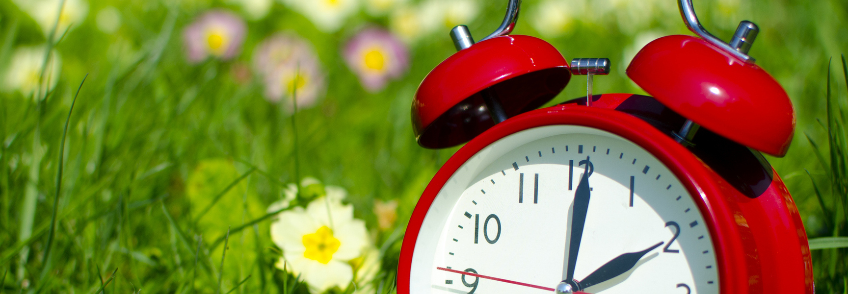 Spring forward clock in a field