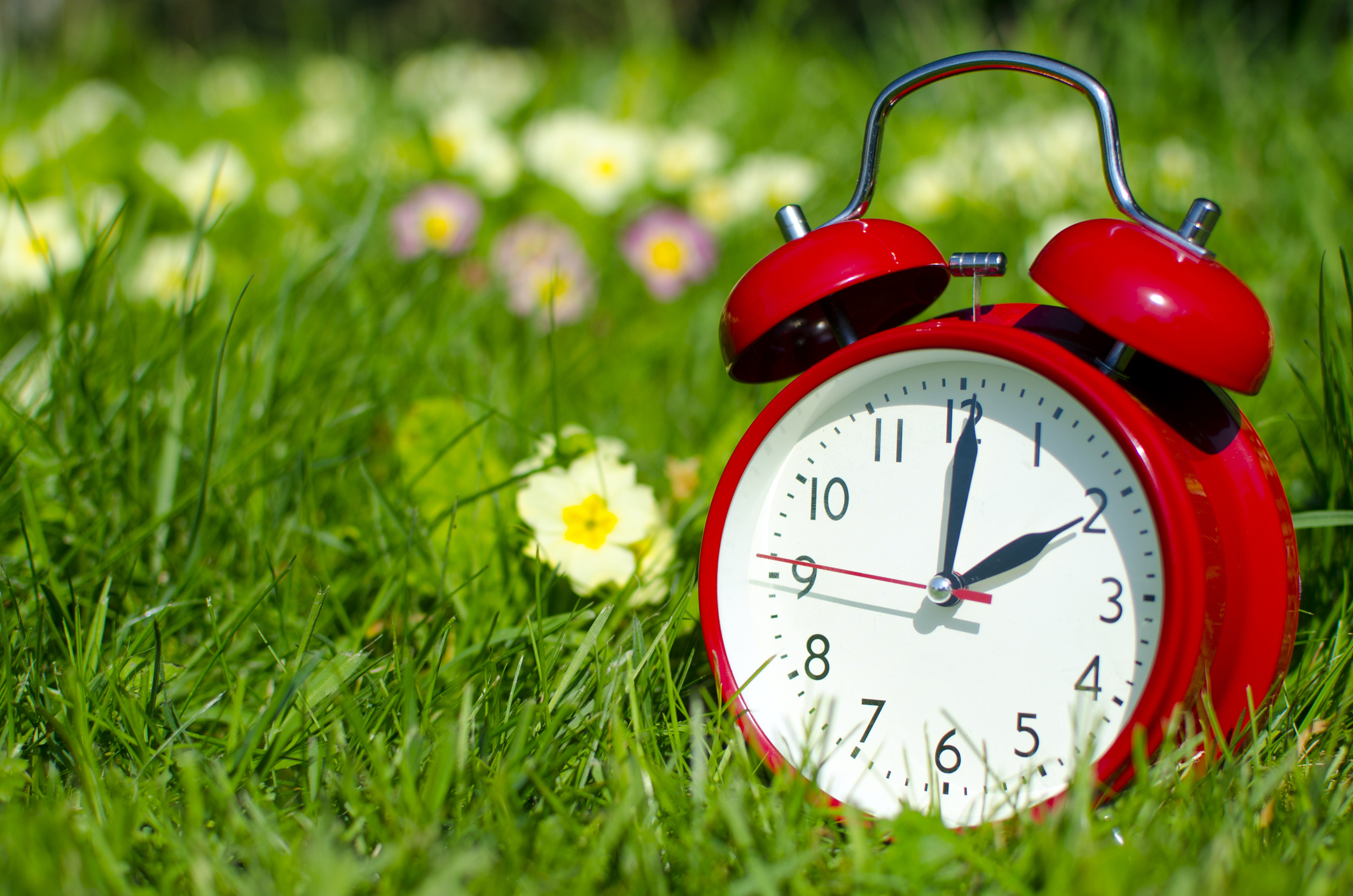 Spring forward clock in a field