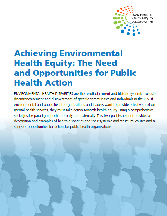 Cover of Achieving Environmental Health Equity: The Need and Opportunities for Public Health Action