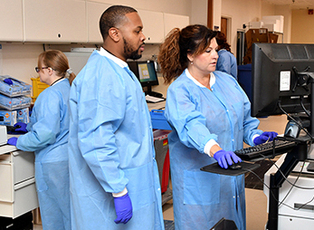 Lab workers examine disease strains
