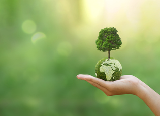 Climate action photo of a hand holding a planet with a tree