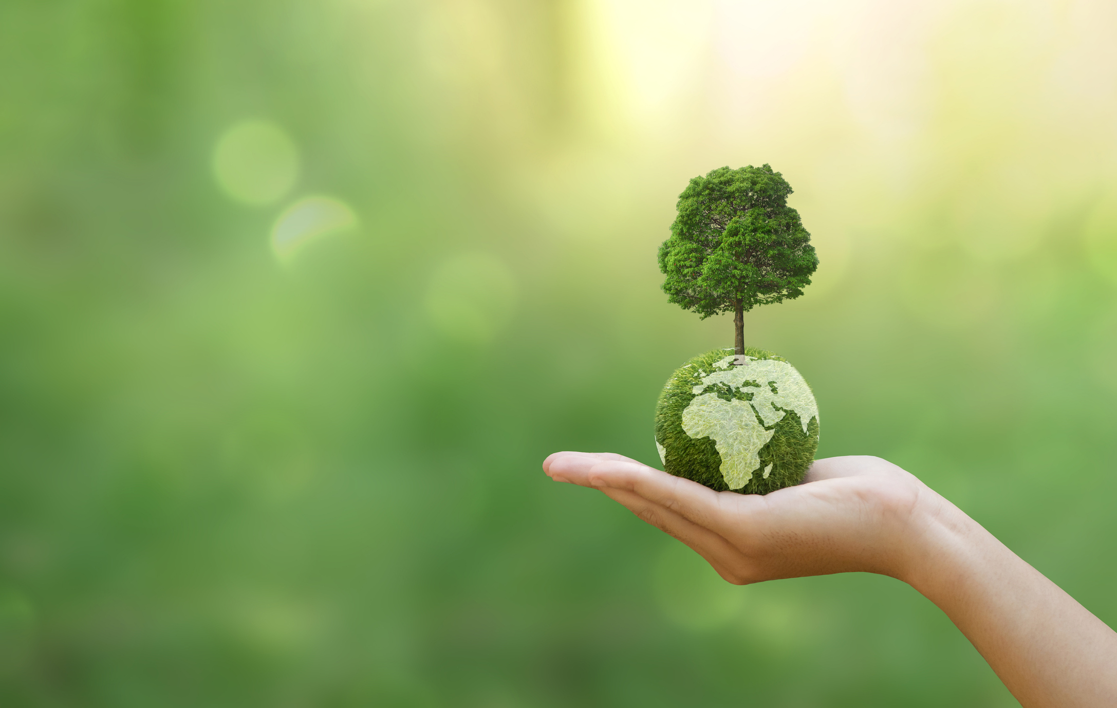 Climate action photo of a hand holding a planet with a tree