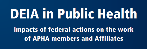 DEIA Report (Public)